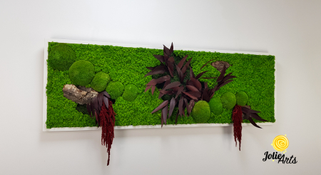 Tablou Amaranthus Roșu orizontal cu licheni și mușchi naturali [3]