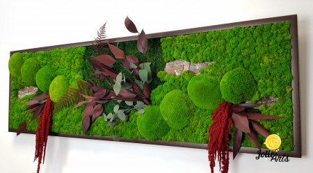 Tablou Amaranthus Roșu orizontal cu licheni și mușchi naturali [6]