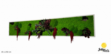 Tablou licheni, muschi si plante naturale stabilizate, Jolie Arts, Model Amaranthus Rosu [0]
