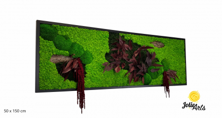 Proiecte personalizate - Tablou Amaranthus Roșu licheni mușchi bombat – format mare