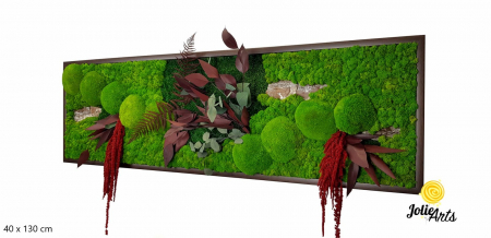 Tablou Amaranthus Roșu orizontal cu licheni și mușchi naturali [1]