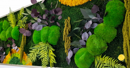 Tablou Curcubeu Galben licheni mușchi stabilizați 80x160 Jolie Arts [5]