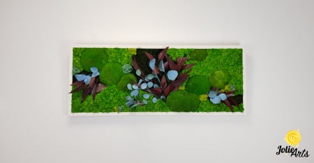 Tablou licheni, muschi si plante naturale stabilizate Jolie Arts, model Ilona [2]
