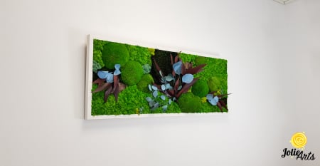 Tablou licheni, muschi si plante naturale stabilizate Jolie Arts, model Ilona [1]