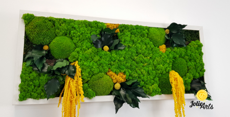 Tablou Amaranthus Galben natural cu licheni și mușchi bombat [7]