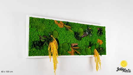 Tablouri - Tablou Amaranthus Galben natural cu licheni și mușchi bombat