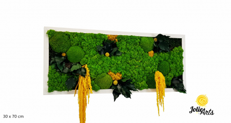 Tablou Amaranthus Galben natural cu licheni și mușchi bombat [2]