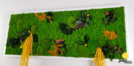 Tablou Amaranthus Galben natural cu licheni și mușchi bombat [3]