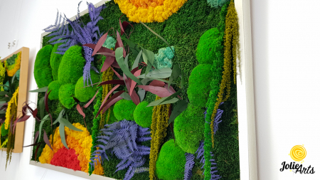 tablou curcubeu licheni muschi plante stabilizate orizontal Jolie Arts [4]