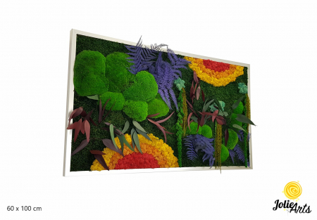 Tablouri - tablou curcubeu licheni muschi plante stabilizate orizontal Jolie Arts