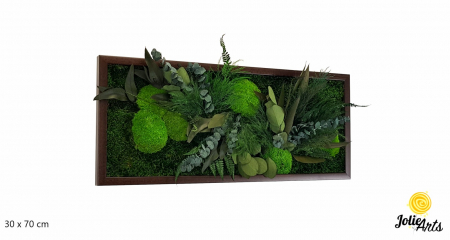 Tablou Green Day Jolie Arts cu licheni, mușchi și plante naturale stabilizate [1]