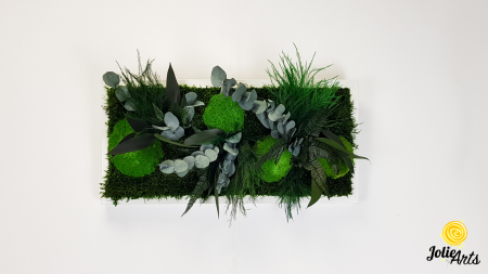 Tablou Green Day Jolie Arts cu licheni, mușchi și plante naturale stabilizate [2]