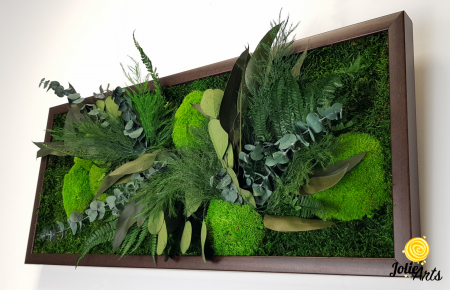 Tablou Green Day Jolie Arts cu licheni, mușchi și plante naturale stabilizate [6]