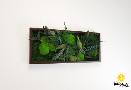 Tablou Green Day Jolie Arts cu licheni, mușchi și plante naturale stabilizate [4]