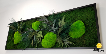 Tablou Green Day Jolie Arts cu licheni, mușchi și plante naturale stabilizate [6]