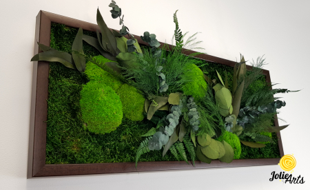 Tablou Green Day Jolie Arts cu licheni, mușchi și plante naturale stabilizate [5]