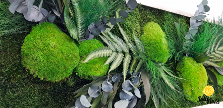 Tablou Green Day Jolie Arts cu licheni, mușchi și plante naturale stabilizate [4]