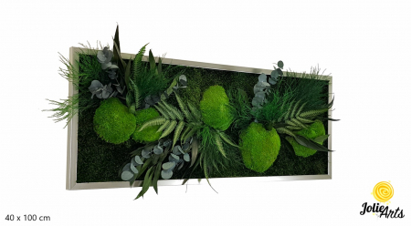 Tablouri - Tablou Green Day Jolie Arts cu licheni, mușchi și plante naturale stabilizate