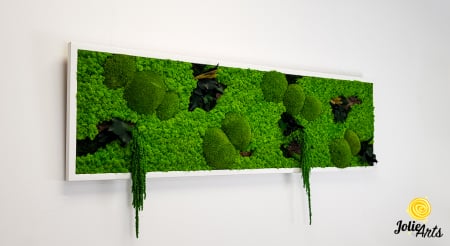 Tablou licheni, muschi si plante naturale stabilizate, Model Green Amaranthus, rama alba, dimensiune 25 x 100 cm, Jolie Arts, www.tablouriculicheni.ro-2 [3]