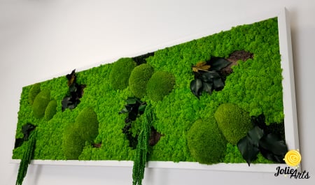 Tablou licheni, muschi si plante naturale stabilizate, Model Green Amaranthus, rama alba, dimensiune 25 x 100 cm, Jolie Arts, www.tablouriculicheni.ro-2 [4]