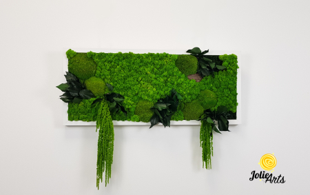 Tablou licheni, muschi si plante naturale stabilizate, Model Green Amaranthus, rama alba, dimensiune 25 x 100 cm, Jolie Arts, www.tablouriculicheni.ro-2 [2]