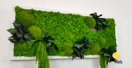 Tablou Green Amaranthus cu licheni și plante naturale stabilizate [6]