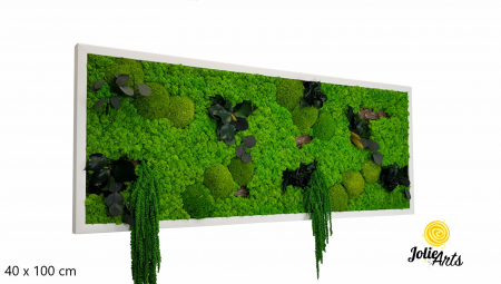 Tablou Green Amaranthus cu licheni și plante naturale stabilizate [2]