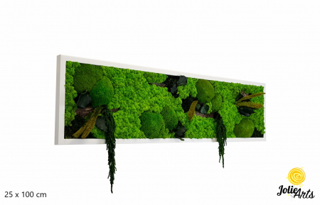 Tablou Green Amaranthus cu licheni și plante naturale stabilizate [1]