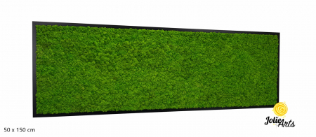 Tablou licheni naturali stabilizati, culoare verde deschis, 25 x 100 cm, Jolie Arts, www.tablouriculicheni.ro-3 [0]