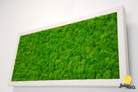 Tablou licheni naturali stabilizați verde deschis – Jolie Arts [5]