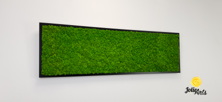 Tablou licheni naturali stabilizați verde deschis – Jolie Arts [4]