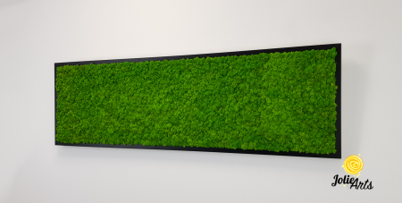 Tablou licheni naturali stabilizați verde deschis – Jolie Arts [2]
