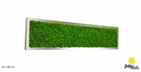Tablou licheni naturali stabilizați verde deschis – Jolie Arts [1]