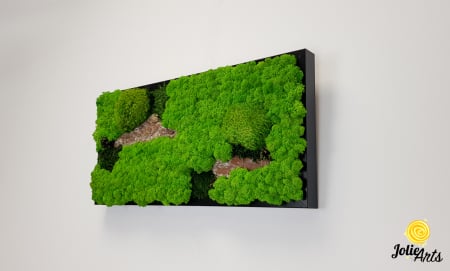 Tablou licheni naturali, muschi bombati, decor natural, Jolie Arts, Model Scoarta [1]