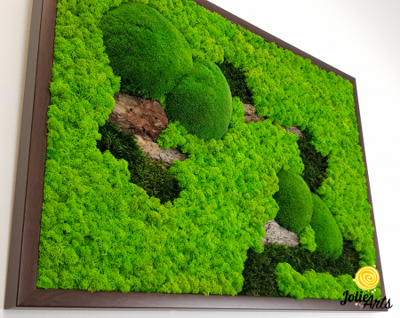 Tablou Scoarță Clasică cu Mușchi Bombați și Licheni Naturali Stabilizați [3]