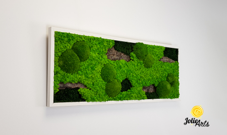 Tablou licheni naturali, muschi bombati, decor natural, Jolie Arts, Model Scoarta [3]