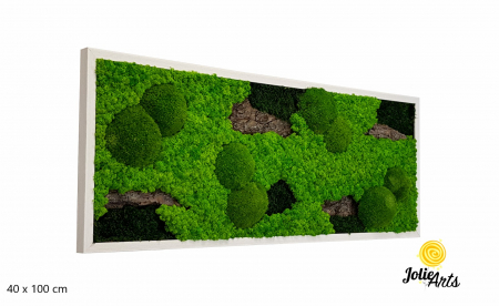 Tablou licheni naturali, muschi bombati, decor natural, Jolie Arts, Model Scoarta [0]