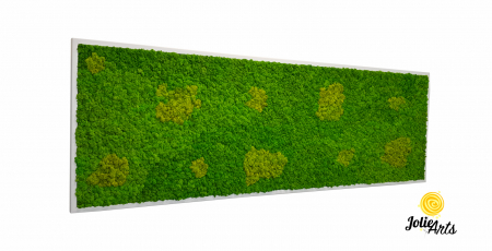 Tablouri licheni - Tablou Licheni Naturali Stabilizati, Culoare Grass Green Light cu Insertii de Spring