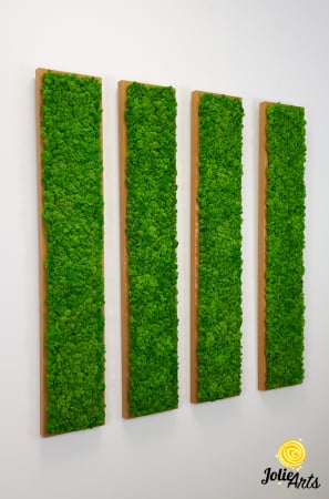 Set 4 tablouri decorate cu licheni naturali stabilizati, 25 x 100 cm [4]