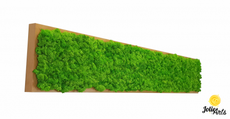 Tablou cu licheni naturali stabilizati, culoare Grass Green Light [0]