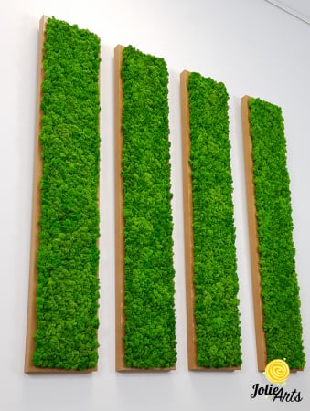 Set 4 tablouri decorate cu licheni naturali stabilizati, 25 x 100 cm [1]
