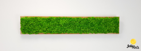 Tablou cu licheni naturali stabilizati, culoare Grass Green Light [2]