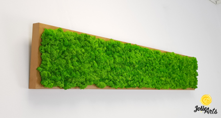 Tablou cu licheni naturali stabilizati, culoare Grass Green Light [3]