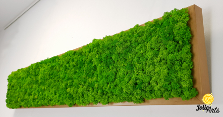 Tablou cu licheni naturali stabilizati, culoare Grass Green Light [4]