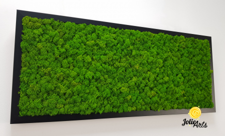 Tablou licheni naturali stabilizați verde deschis – Jolie Arts [5]