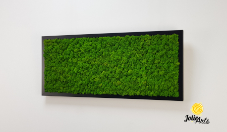 Tablou licheni naturali stabilizați verde deschis – Jolie Arts [1]