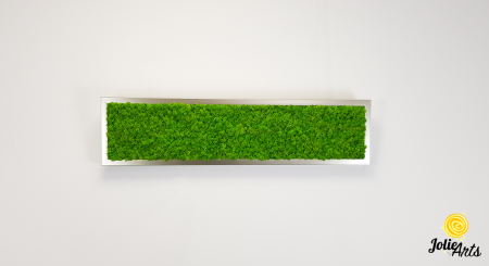 Tablou licheni naturali stabilizați verde deschis – Jolie Arts [3]