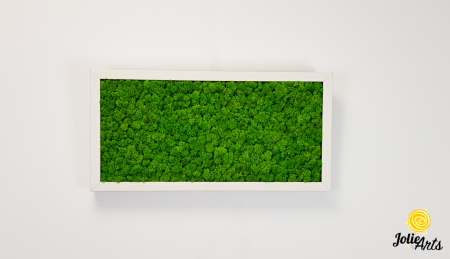 Tablou licheni naturali stabilizați verde deschis – Jolie Arts [2]
