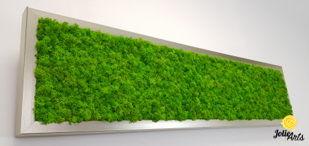 Tablou licheni naturali stabilizați verde deschis – Jolie Arts [5]