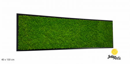 Tablou licheni naturali stabilizați verde deschis – Jolie Arts [1]